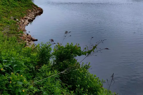Wilgus State Park