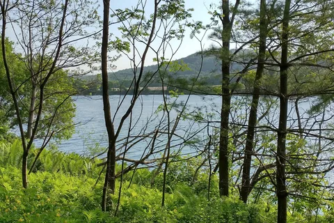 Wilgus State Park