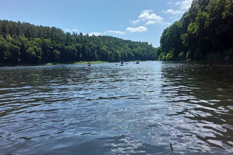 Wilgus State Park
