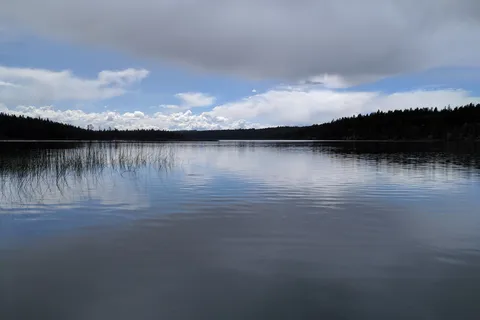Roche Lake Resort