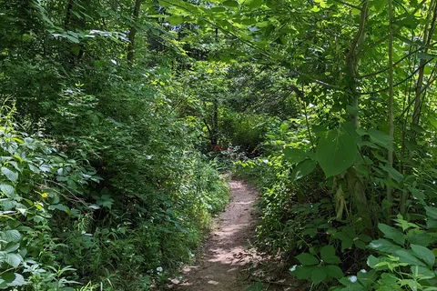 West Canada Creek Campground
