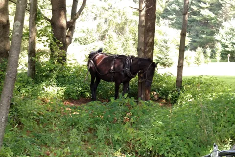 West Canada Creek Campground