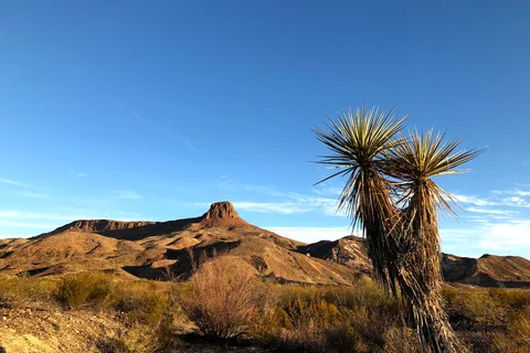 Maverick Ranch RV Park