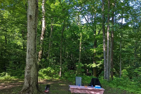 Forked Run State Park