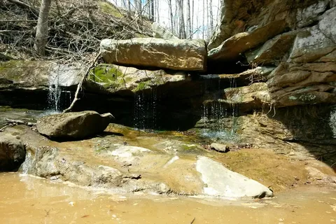 Forked Run State Park
