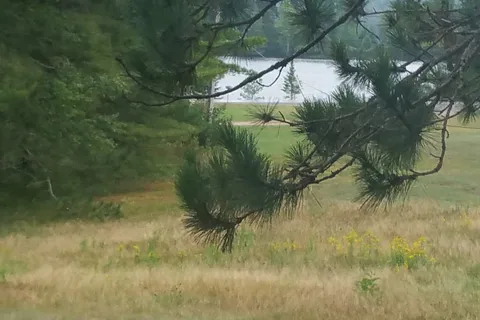 Douglas Resort and Campground