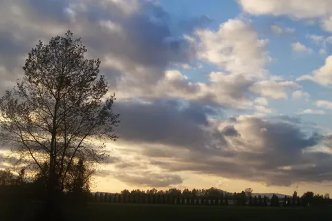 Skagit Valley RV Park