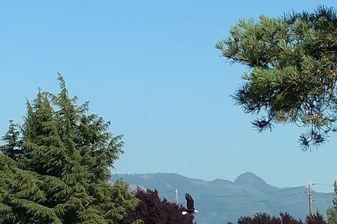 Skagit Valley RV Park