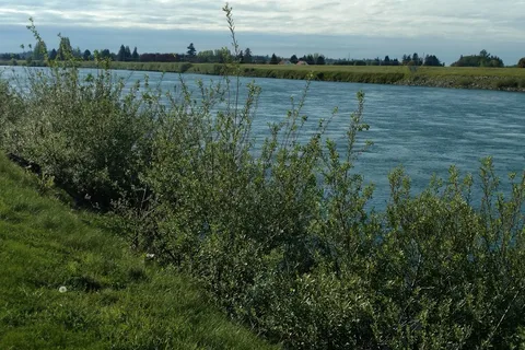 Skagit Valley RV Park