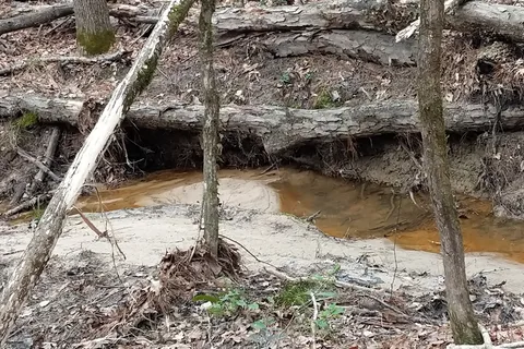 Logoly State Park