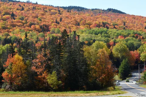 Rangeley Lake State Park