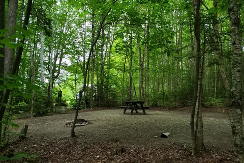 Rangeley Lake State Park