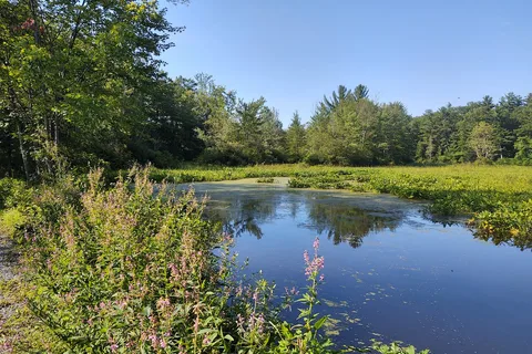 Verona Beach State Park