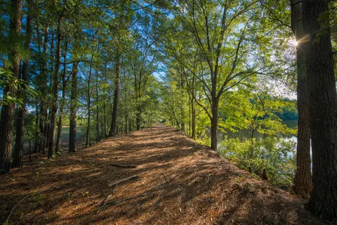 Bass Lake RV Campground