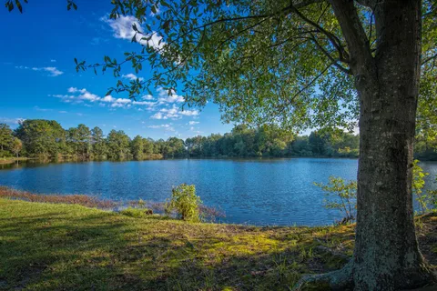 Bass Lake RV Campground