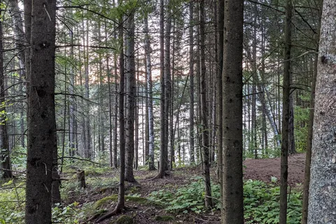 Coon Lake - Algonquin Provincial Park