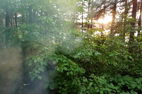 Coon Lake - Algonquin Provincial Park