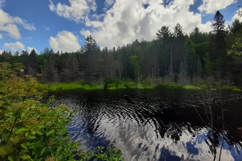 Coon Lake - Algonquin Provincial Park