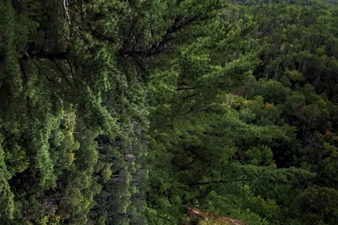 Coon Lake - Algonquin Provincial Park