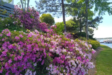 Lake Greenwood Motorcoach Resort