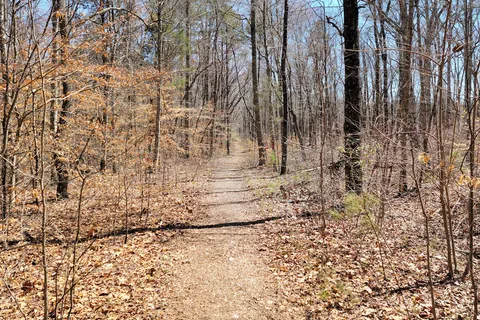 Kings Mountain State Park