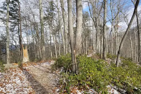 Creekside - Hungry Mother State Park