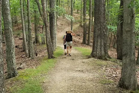 Creekside - Hungry Mother State Park