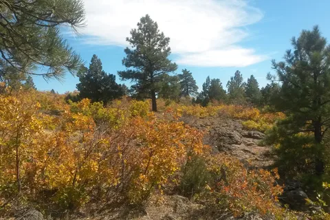Zion West RV Park