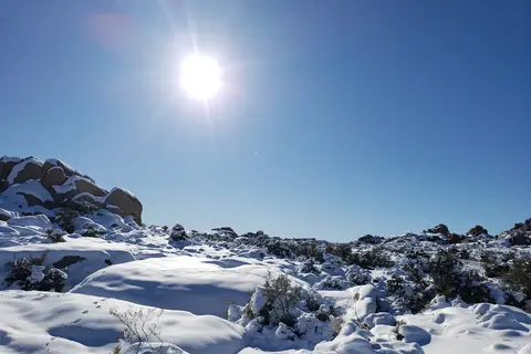 Jumbo Rocks - Joshua Tree National Park