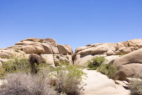 Jumbo Rocks - Joshua Tree National Park