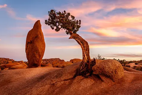 Jumbo Rocks - Joshua Tree National Park