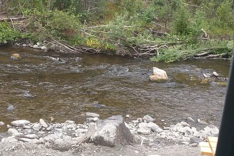 Tolsona Wilderness Campground