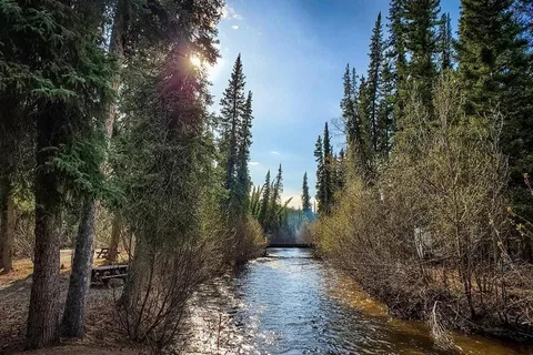 Tolsona Wilderness Campground