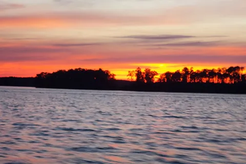 Siesta Cove Marina- RV Park