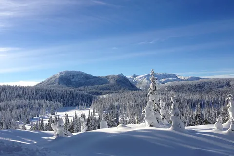 Buttle Lake - Strathcona Provincial Park