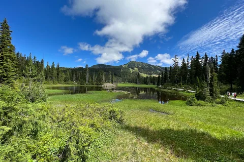 Buttle Lake - Strathcona Provincial Park