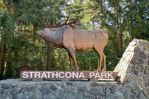 Buttle Lake - Strathcona Provincial Park
