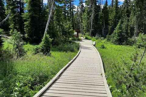 Buttle Lake - Strathcona Provincial Park
