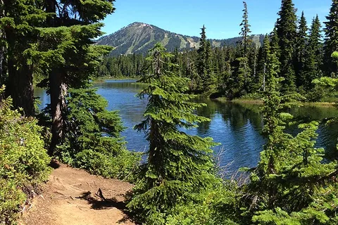 Buttle Lake - Strathcona Provincial Park