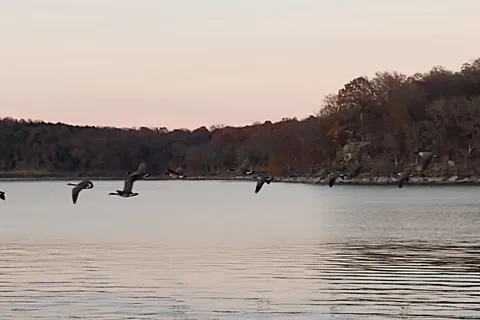 Shady Grove - Tenkiller State Park