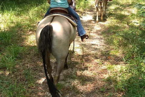 Grove River Ranch, LLC - Equestrian Center and Retreat