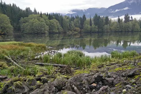 Kulshan Campground