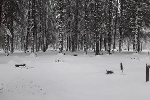 Kulshan Campground