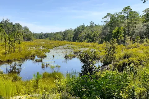 Fred Gannon Rocky Bayou State Park