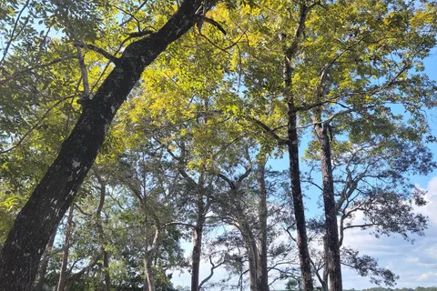Fred Gannon Rocky Bayou State Park
