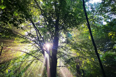 Tall Oaks Campground
