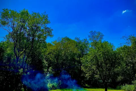 Tall Oaks Campground