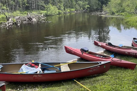 Paddle Brave Canoe Livery