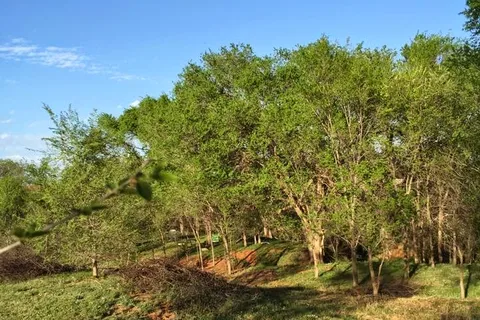Bobcat Creek RV Park