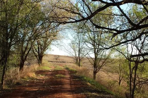 Bobcat Creek RV Park